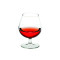 CALICE COGNAC 25CL TEMP. V074440