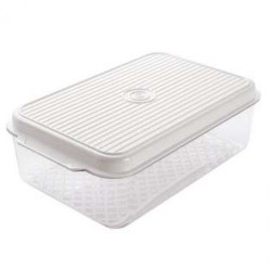 CAIXA FRIG. 344 C/GRELHA (20cm X 31.5cm)